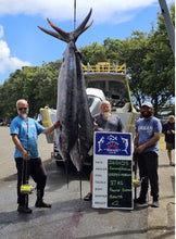 Load image into Gallery viewer, 10pcs Topwater Pencil Fishing Lure Kit – 0.46 oz Each, Ideal for Bass, Trout & More