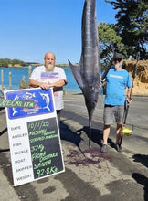 Load image into Gallery viewer, 10pcs Topwater Pencil Fishing Lure Kit – 0.46 oz Each, Ideal for Bass, Trout & More