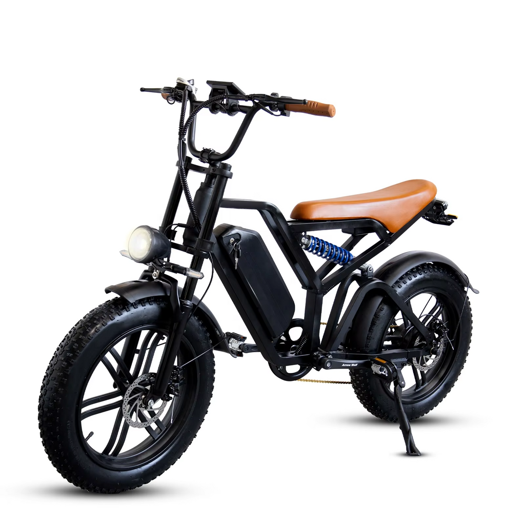 ECORIDE V6 Electric Mountain Bike 250W–1000W – 20" Fat Tire E-Bike with 48V Lithium Battery (10.4Ah–20Ah), 7-Speed, Dual Suspension, LCD Display