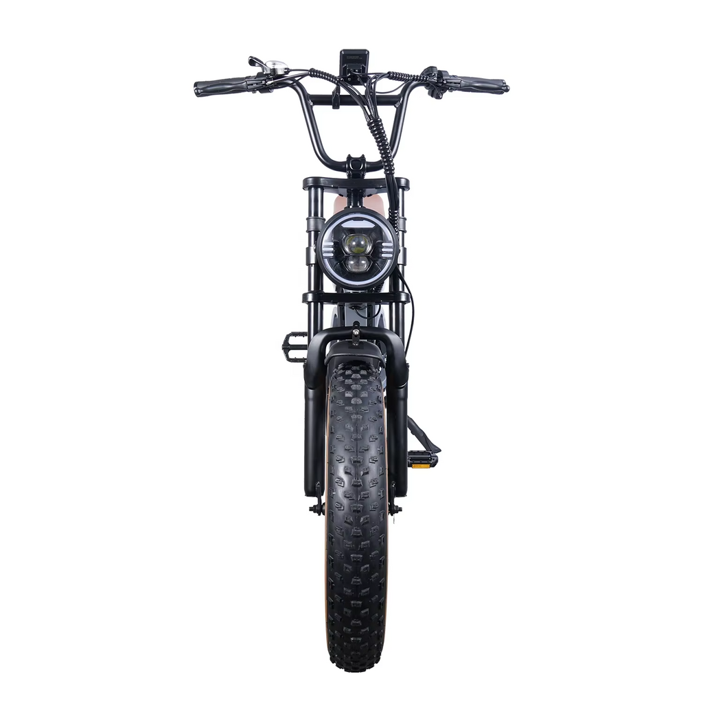 ECORIDE V6 Electric Mountain Bike 250W–1000W – 20" Fat Tire E-Bike with 48V Lithium Battery (10.4Ah–20Ah), 7-Speed, Dual Suspension, LCD Display