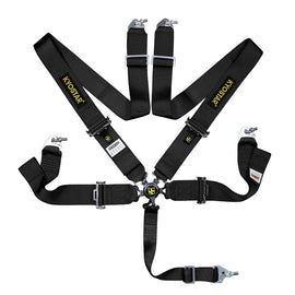 Auto Detailing 5 Points Racing Harness, Auto Seat Belts Safety Harness
