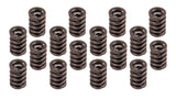 1.460 Valve Spring Set 16