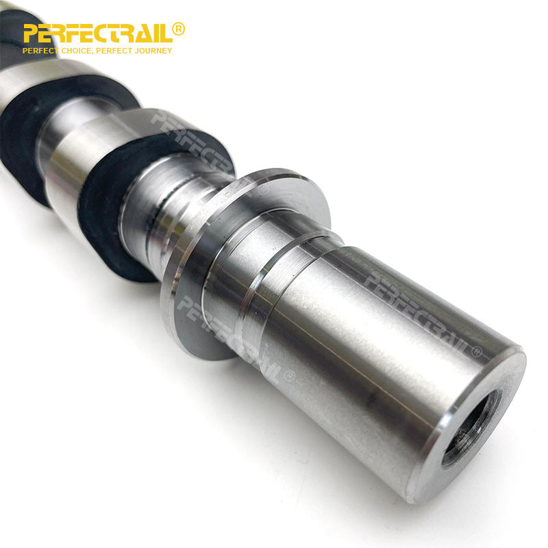 PERFECTRAIL 8200100527 8200100528 Factory Auto Parts Intake Exhaust Engine Camshaft for Renault Clio Megane Duster Kangoo