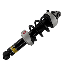 Load image into Gallery viewer, Original Factory Quality Shock Absorbers for the Front Electric air Suspension of Older Audi R8 Models, 420412019AJ/420412020AJ
