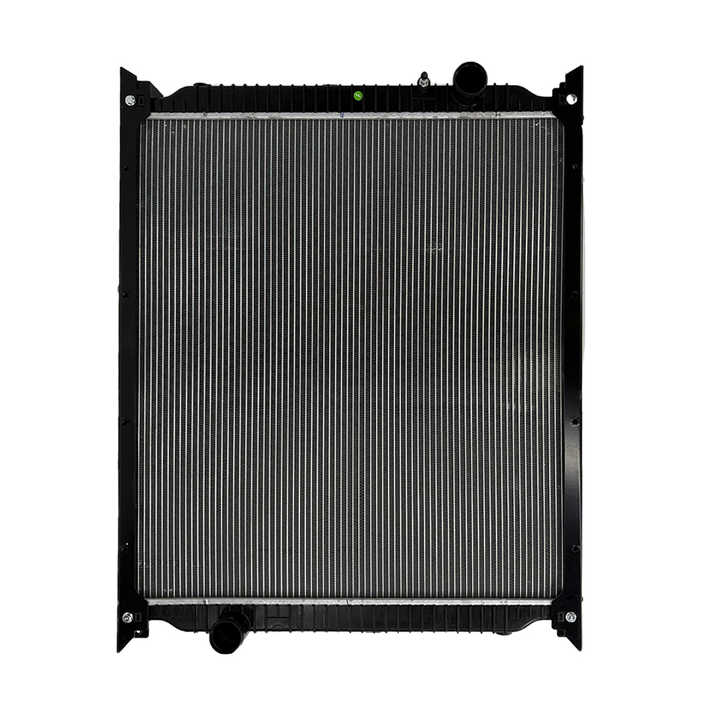 Radiator Assembly for Sinotruk Howo OEM WG9719530277
