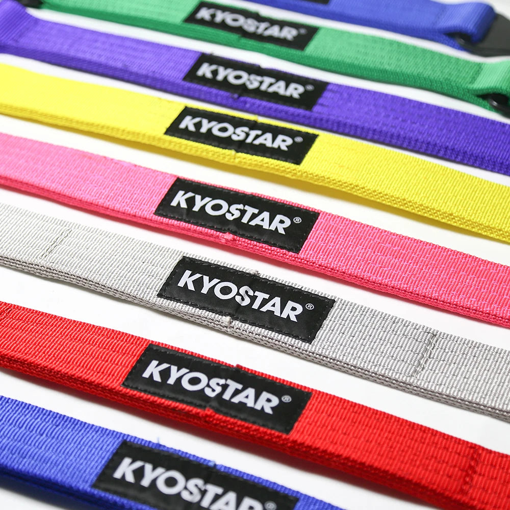 Universal Off-Road Nylon Suspension Limit Straps, 2.5 inch Wide, 800 kg Break Strength, D-Ring Ends