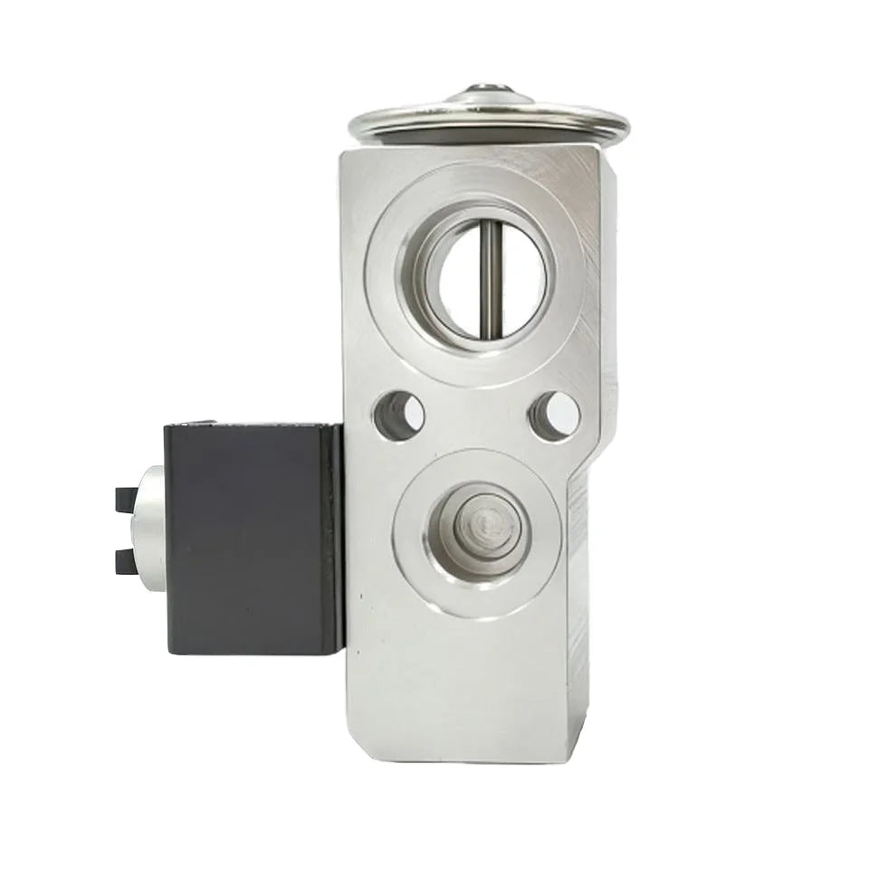 OE A1678309501 Automotive Air Conditioning Expansion Valve for GLE and GLS
