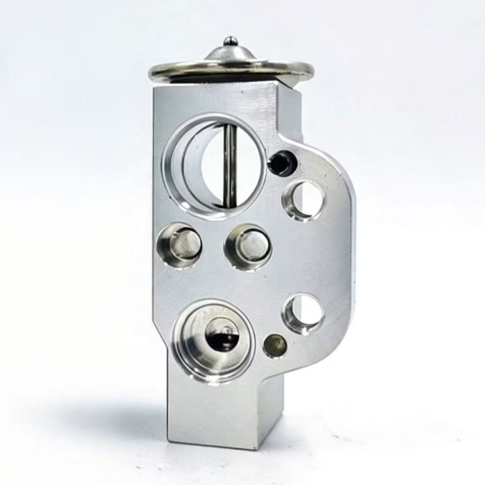 OE 6Q0820679A 6Q0820679F Air Conditioning Expansion Valve for Ibiza/Cordoba