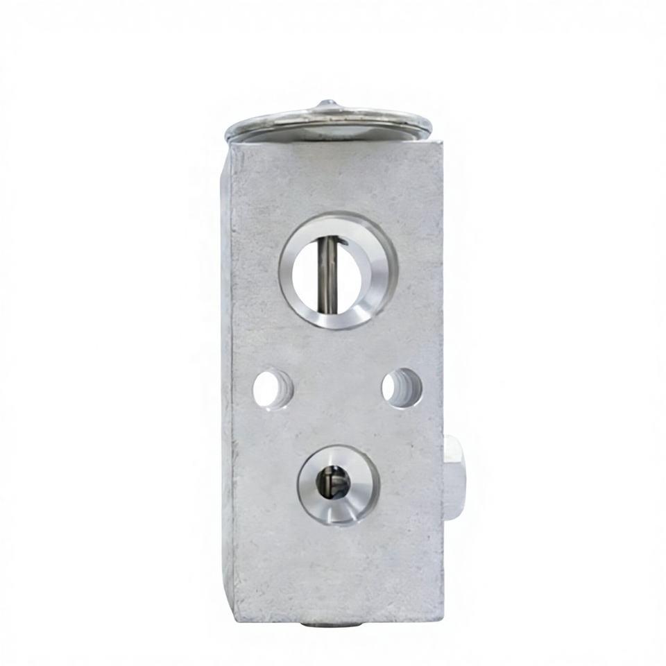 OE 1550882 5058079AA Automotive Air Conditioning Expansion Valve for Neon 00-01