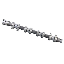 RFN Engine Ductile Iron Cylinder Camshaft OEM 9651877488  0801CA for CITROEN/PEUGEOT406 407 FIAT