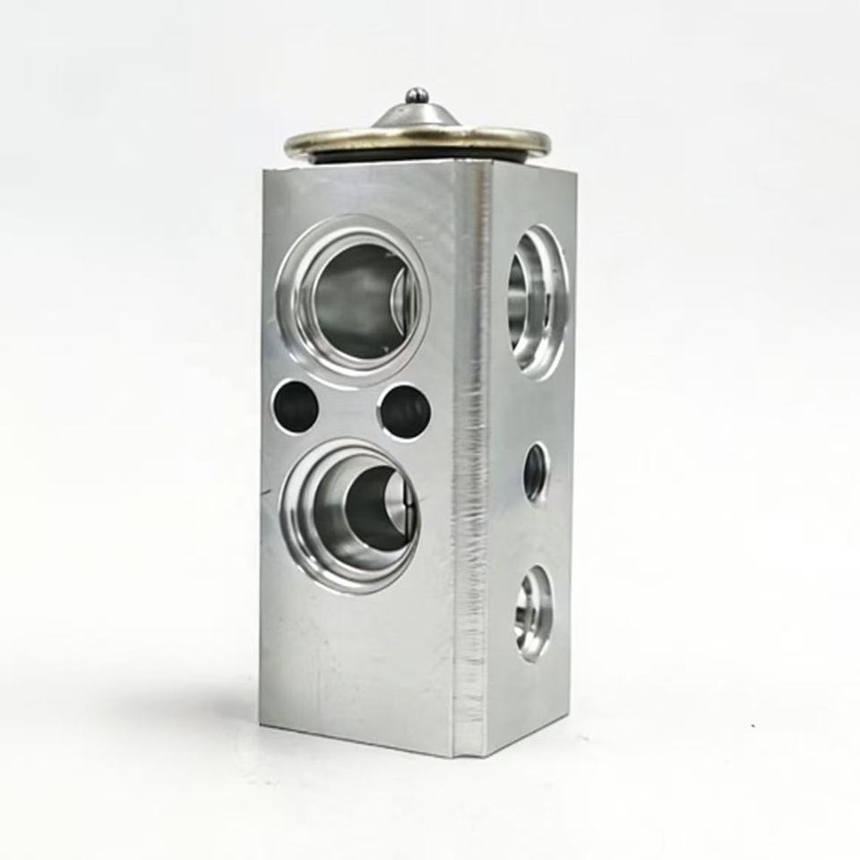 OE 97626-J1100 Automotive Air Conditioning Expansion Valve for La Festa
