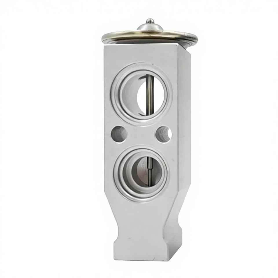 New Automotive Air Conditioning Expansion Valve for Saipa Tiba 211