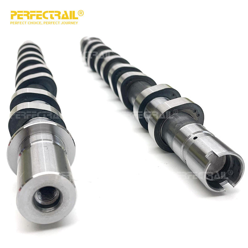 PERFECTRAIL 8200100527 8200100528 Factory Auto Parts Intake Exhaust Engine Camshaft for Renault Clio Megane Duster Kangoo