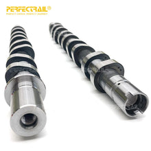 Load image into Gallery viewer, PERFECTRAIL 8200100527 8200100528 Factory Auto Parts Intake Exhaust Engine Camshaft for Renault Clio Megane Duster Kangoo