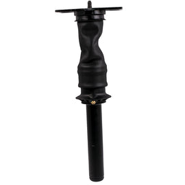 International ProStar Air Cab Shock Absorber Air Strut (OEM 3595977C95)