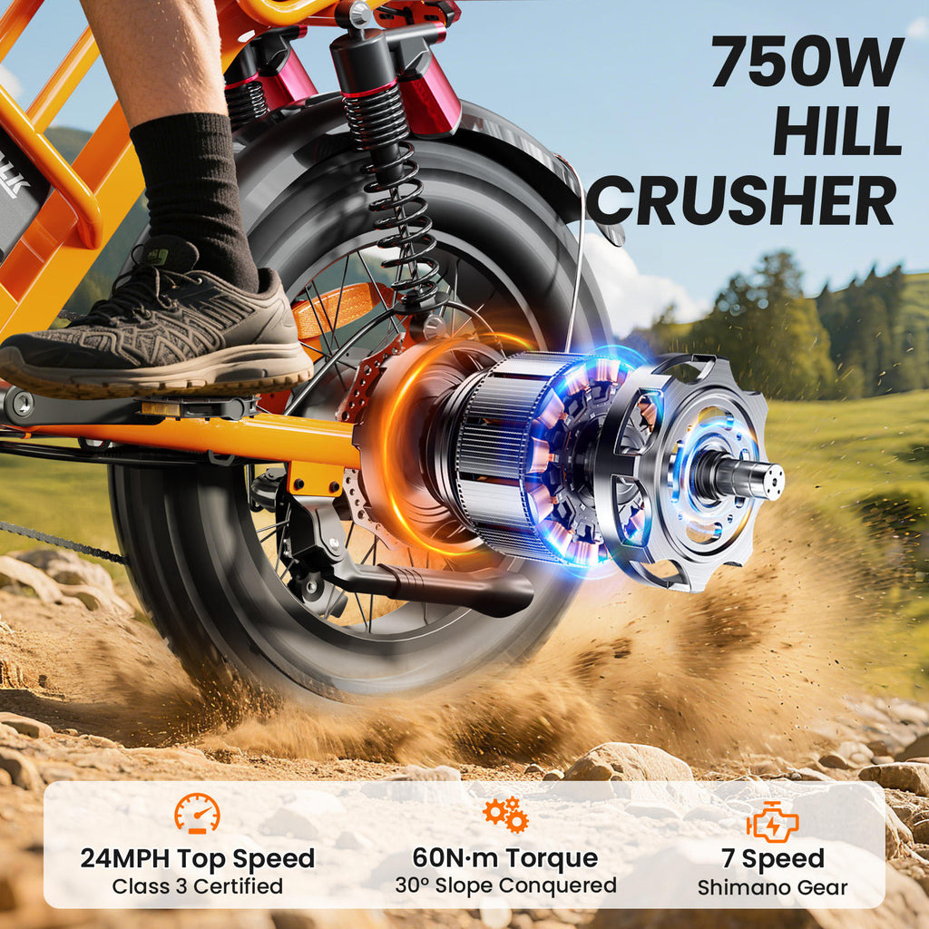 Fat Tire Electric Bike New Style 48V 750W Electric Mountain Bike for Adults with 15Ah Battery, Fast Off-Road eBike, US Stock Shipping