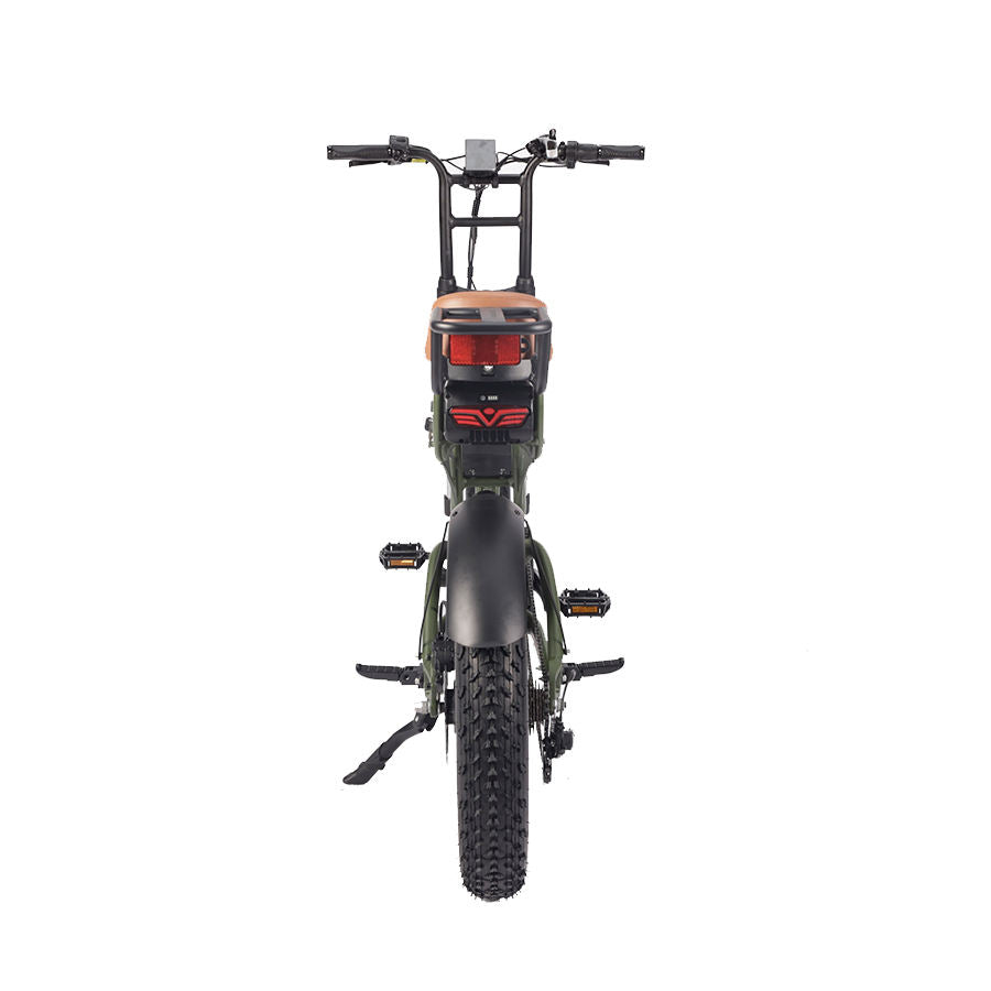 Fat Tyre Electric Bike High Face 20" Electric Mountain Bike with Rear Hub Motor, 48V Lithium Battery, 7-Speed Gear System & Suspension Fork