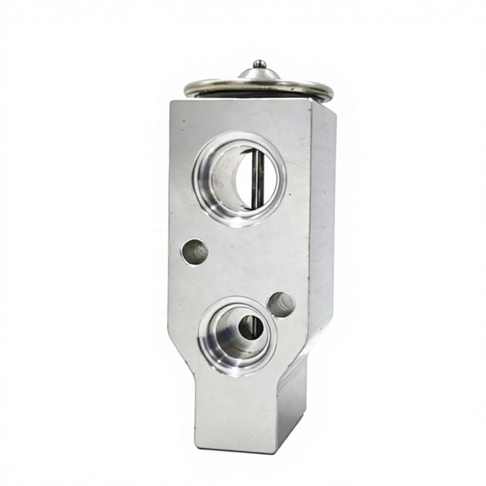 S9005 OE K01900004 Air Conditioning Expansion Valve for Rexton