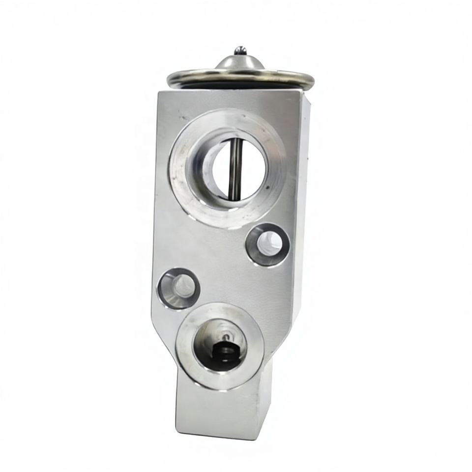OE 615837C Automotive Air Conditioning Expansion Valve for Captiva/Winstrom/Antara