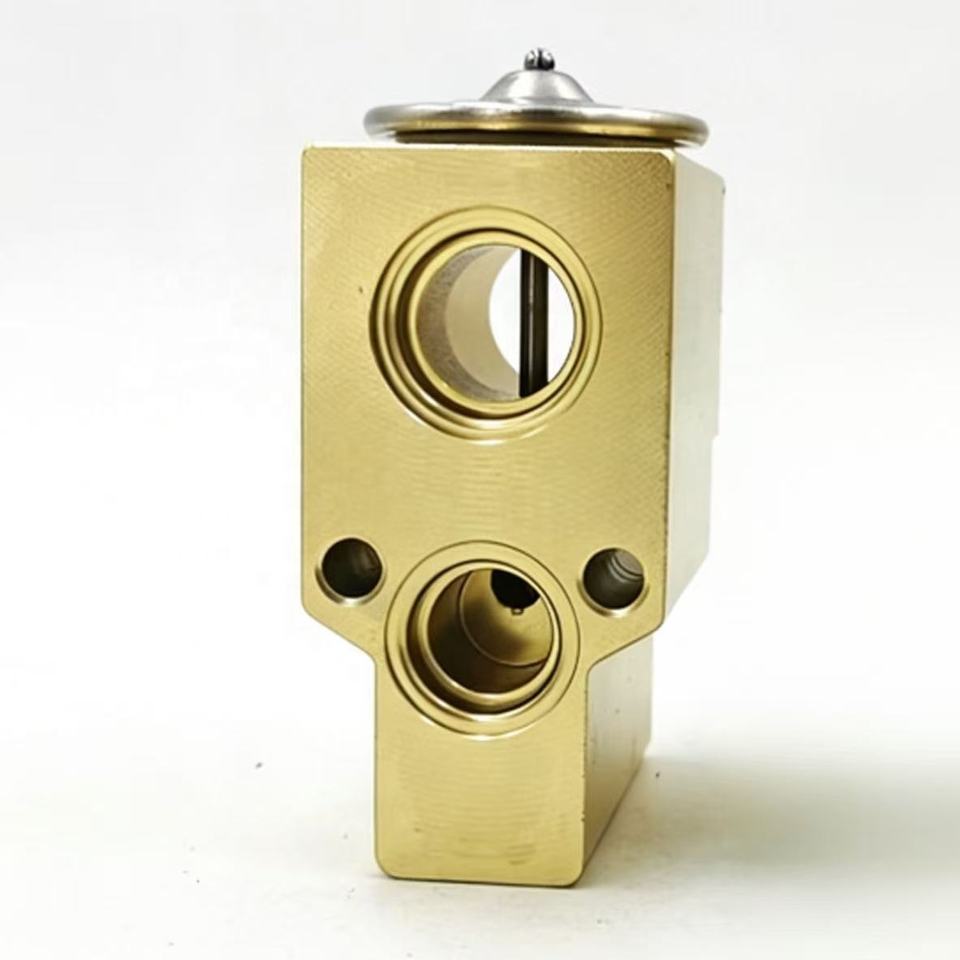 Expansion Valve 15004 OE 6N0820679C 1H0820679A for Jetta Golf Beetle