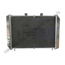 Load image into Gallery viewer, Custom Car Radiator for 3110-1301012 LADA GAZ 99- 2.3 2.5