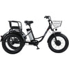 20 Inch Foot Assisted Electric Tricycle 48V 500W Snow Snow Fat Tires 3 Wheel Electric Cargo Bike for Elderly Removable Battery