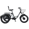 20 Inch Fat Electric Bike 3 Wheeled Electric Tricycle With Passenger Seat for Adult 48v 500w Powerful Lithium Battery Removable