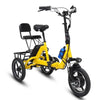 14 Inch 3 Wheeled Electric Tricycle Foldable 48V 350W Electric Bike For Adults 2 Person With Removable Rear Seat Max Speed 20