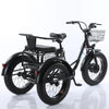 20 Inch Fat Electric Bike 3 Wheeled Electric Tricycle With Passenger Seat for Adult 48v 500w Powerful Lithium Battery Removable