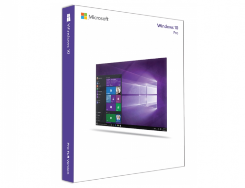 Windows 11/10 Pro OEM Key 1 PC