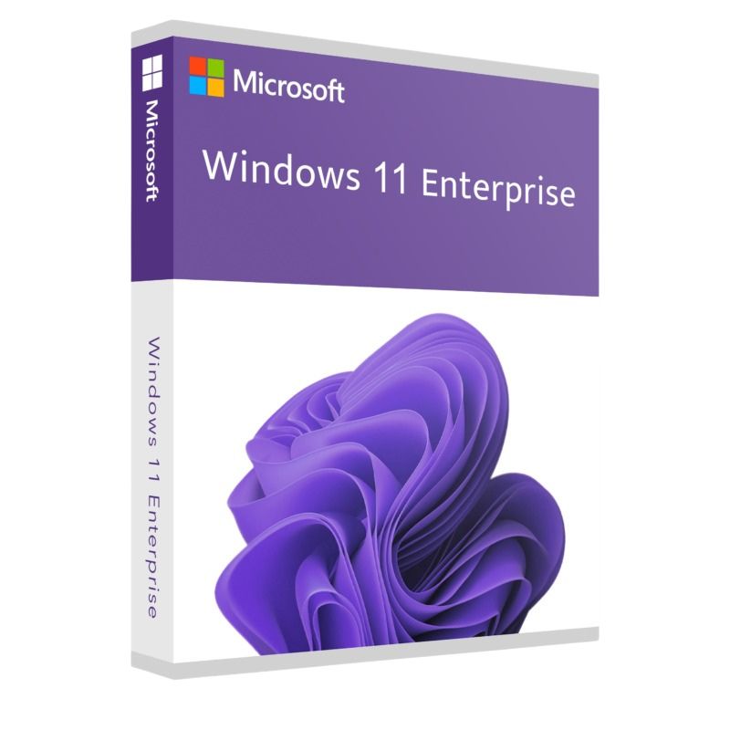 Windows 10/11 Enterprise Key 20 PC