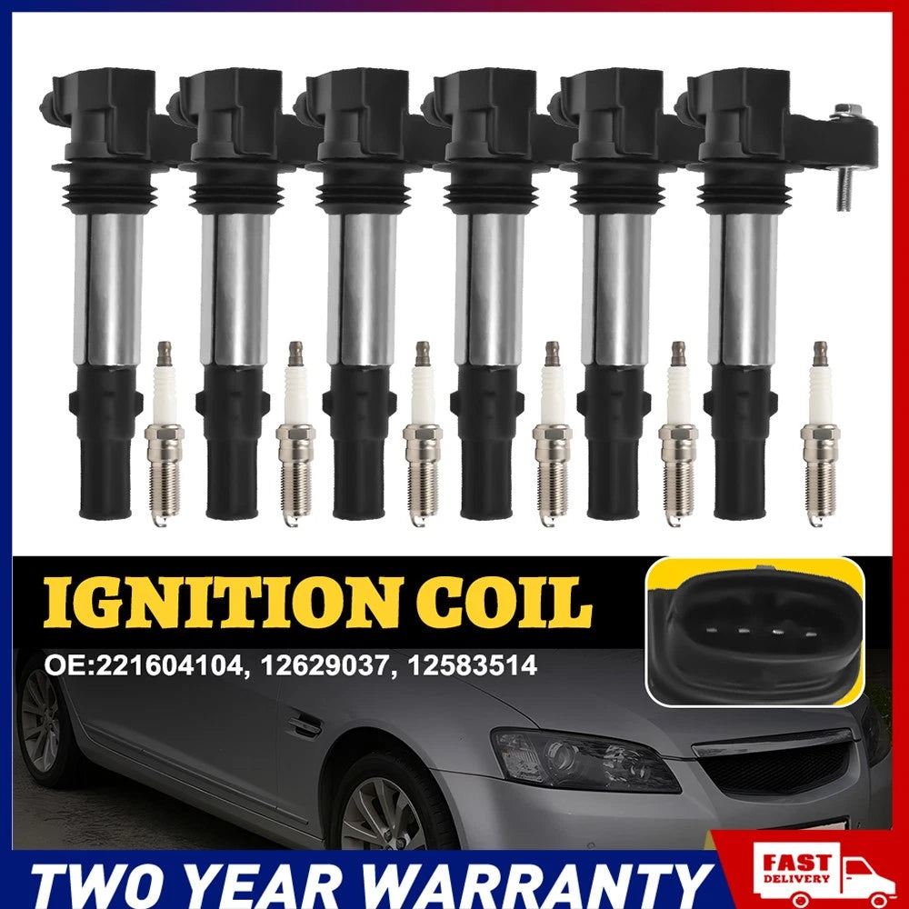 Set of 6 black and silver ignition coils 221604104 with spark plugs for Holden 3.6L