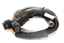 Haltech Elite 1500, 2500 & 2500 T Basic Universal Wire-in Harness 2.5m (8') H...