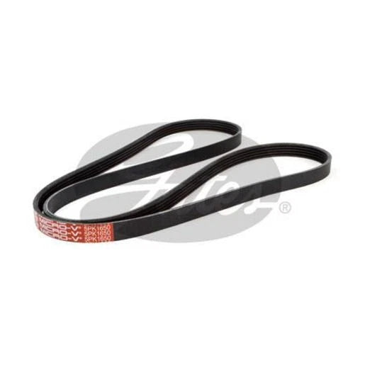 Gates Ribbed Belt 5PK1650