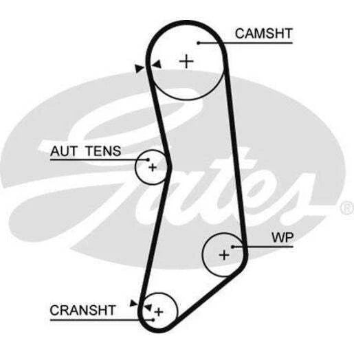 Gates Timing Belt T1637
