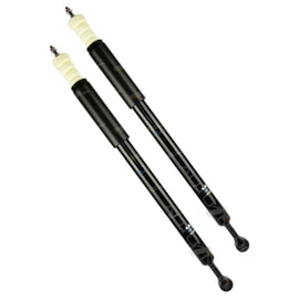 2 x Rear Shock Absorbers for Ford Focus LS LT Turbo Petrol 2006~2008 Hatchback