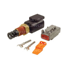 Load image into Gallery viewer, Raceworks Motorsport 1/8 NPT Air Temp Sensor &amp; Connector