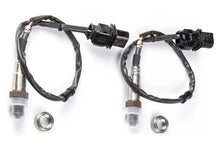 Load image into Gallery viewer, Haltech WB2 Bosch - Dual Channel CAN O2 Wideband Controller Kit HT-159986