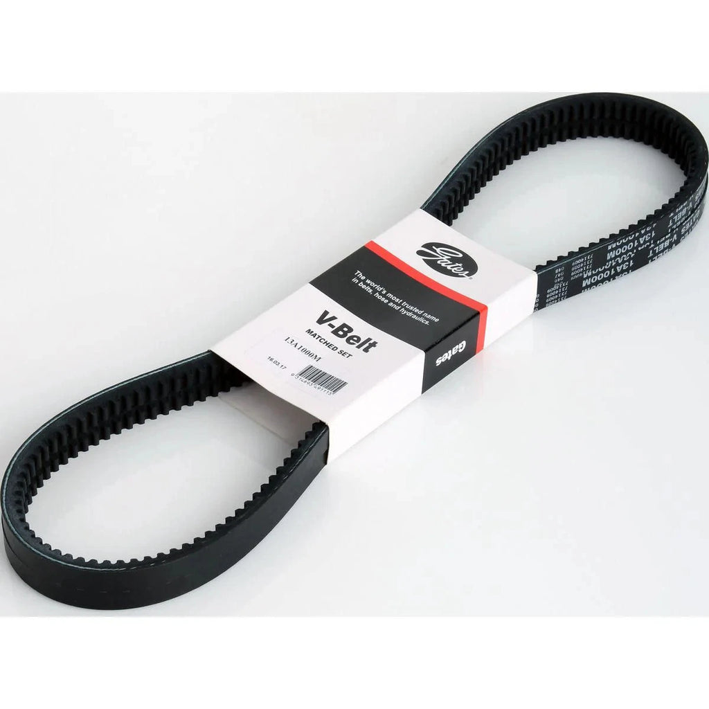 Dayco V-Belt (Pair) 13A1000M
