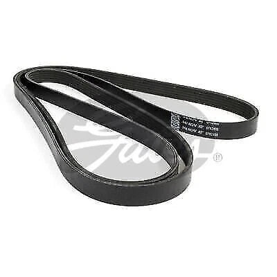 Gates 6PK2400 black 6-rib EPDM Micro-V serpentine drive belt, 2400mm length