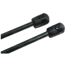 Load image into Gallery viewer, Boot Lid Gas Struts Pair for Ford Falcon FG Sedan with Spoiler G6/XR6/XR8/XT