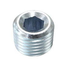 Load image into Gallery viewer, Aeroflow Npt Port Plug 1/4" Steel Zinc Coated